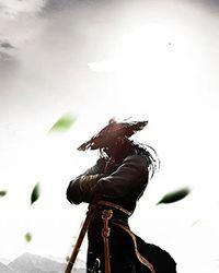 至尊小厨神林木txt